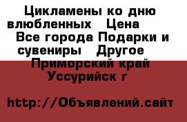 Цикламены ко дню влюбленных › Цена ­ 180 - Все города Подарки и сувениры » Другое   . Приморский край,Уссурийск г.